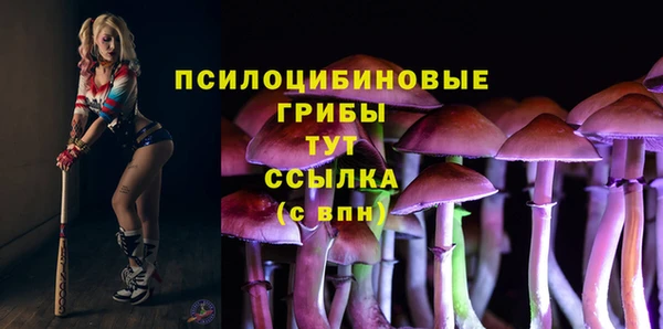 сатива Абаза
