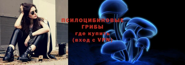 ешки Абинск