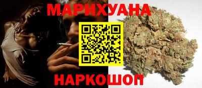 гидропоника Пенза