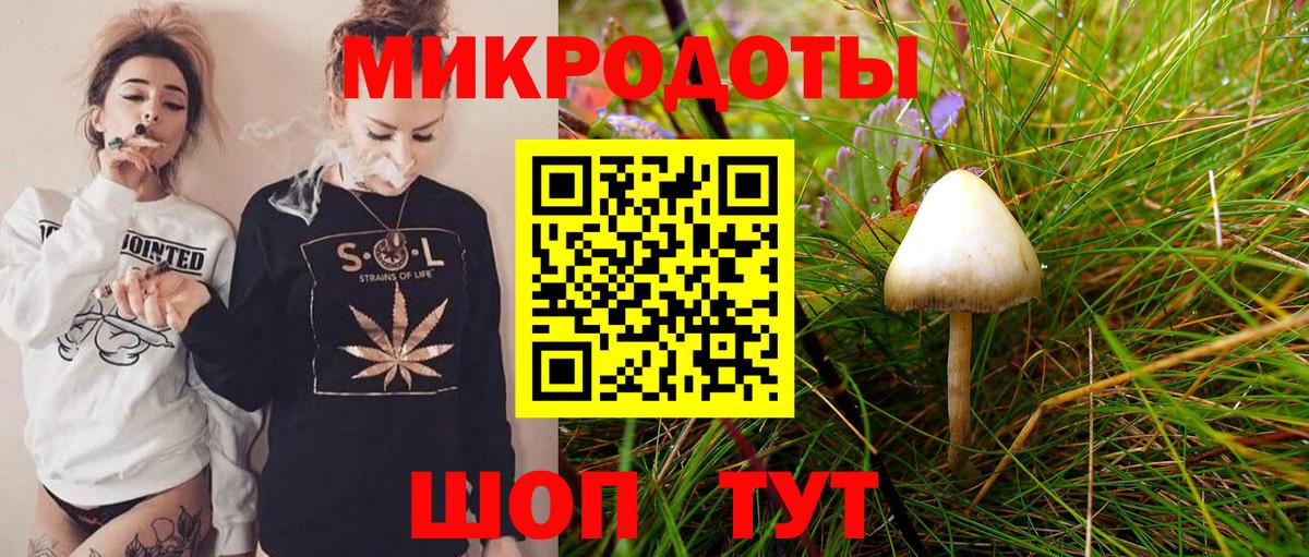 Галлюциногенные грибы Psilocybe Ржев