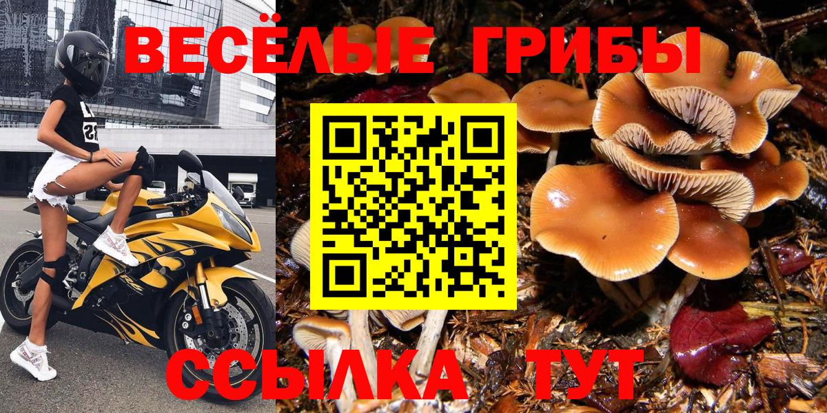 Галлюциногенные грибы ЛСД  Вход с VPN  Псилоцибиновые грибы GOLDEN TEACHER  Ржев 